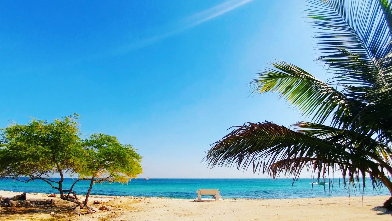 کیش و دبی