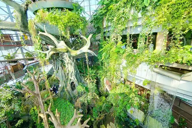 سیاره سبز دبی